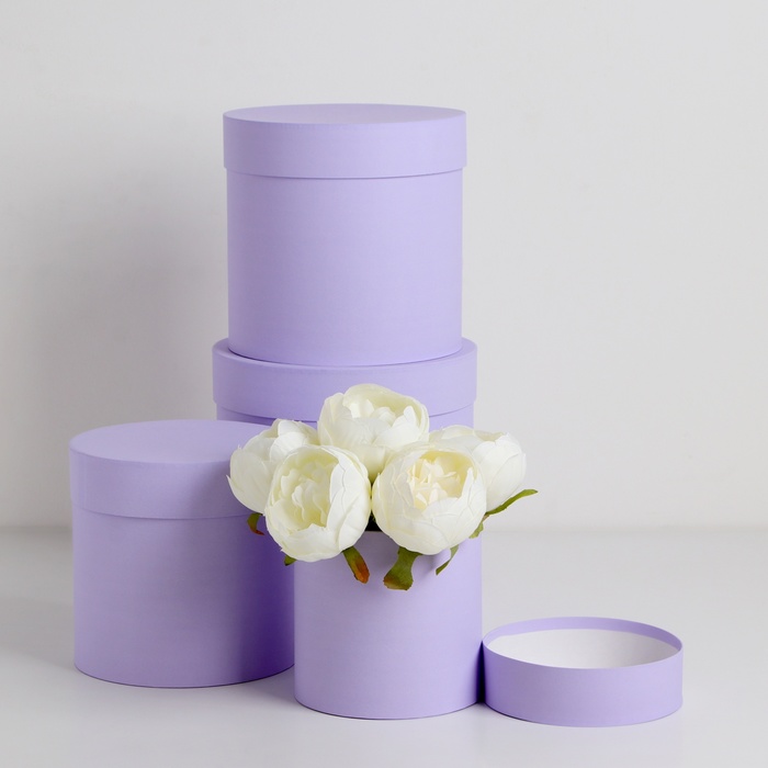 Набор шляпных коробок 4 в 1 «Светлая сирень» 21×21×21- 14×14×14 см - Фото 1