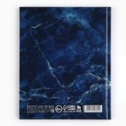 Дневник школьный 5-11 класс, в твердой обложке, 48 л. «Синий мрамор» - Фото 6