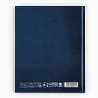 Дневник школьный 5-11 класс, в твердой обложке, 48 л. «Школьные принадлежности» - Фото 6