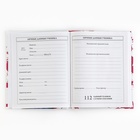 Дневник школьный 5-11 класс, в твердой обложке, 48 л. «Стиль» - Фото 3