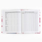 Дневник школьный 5-11 класс, в твердой обложке, 48 л. «Стиль» - Фото 5