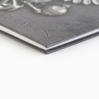 Дневник школьный 5-11 класс, в твердой обложке, 48 л. «Россия» - Фото 2