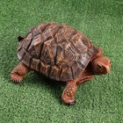 Садовая фигура  "Черепаха средняя" коричневая, - фото 24626170