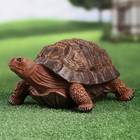 Садовая фигура  "Черепаха средняя" коричневая, - фото 24626171