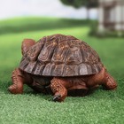Садовая фигура  "Черепаха средняя" коричневая, - фото 24626172