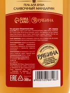 Гель для душа, 300 мл, аромат сливочного мандарина, URAL LAB - Фото 10