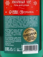 Гель для душа URAL LAB, 300 мл, аромат хвойный лес, Новый Год - фото 52715786