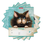 Тетрадь 18 листов в линейку ErichKrause "Funny Cats", обложка мелованный картон, блок офсет 100% белизна, микс - фото 321783966