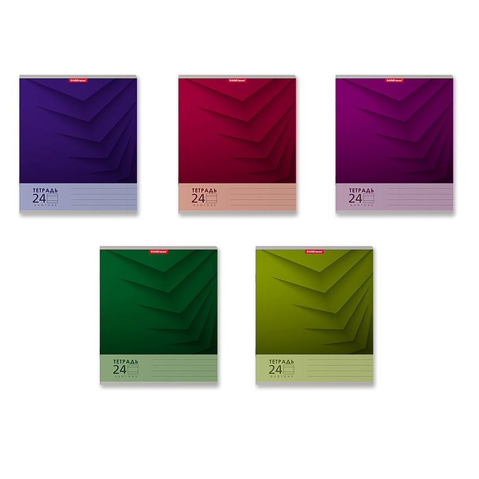 

Тетрадь 24 листа в линейку, ErichKrause Duotone Nex, обложка мелованный картон, блок офсет 100% белизна, МИКС