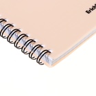 Тетрадь А6, 80 листов в клетку на спирали ErichKrause "Powder Cats", пластиковая обложка, блок офсет, белизна 100%, розовая - фото 24690344