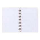 Тетрадь А6, 80 листов в клетку на спирали ErichKrause "Powder Cats", пластиковая обложка, блок офсет, белизна 100%, розовая - фото 24690345