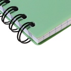 Тетрадь А6, 80 листов в клетку на спирали ErichKrause "Powder Cats", пластиковая обложка, блок офсет, белизна 100%, оливковая - фото 24690346