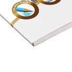 Альбом для рисования А4, 30 листов, блок 120 г/м², на клею, Erich Krause "Towers", 100% белизна, твердая подложка - фото 24681179