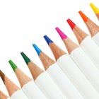 Карандаши цветные 12 цветов Гамма "Студия", диаметр грифеля 3,3 мм - Фото 4