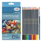 Карандаши цветные акварельные «Гамма. Студия» 12 цветов, грифель 3.8 мм, картонная коробка 110822_12 - Фото 1