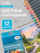 Карандаши цветные акварельные «Гамма. Студия» 12 цветов, грифель 3.8 мм, картонная коробка - Фото 1