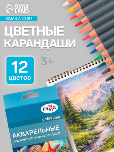 Карандаши цветные акварельные «Гамма. Студия» 12 цветов, грифель 3.8 мм, картонная коробка 110822_12