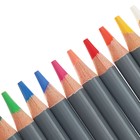 Карандаши цветные акварельные «Гамма. Студия» 36 цветов, грифель 3.8 мм, картонная коробка, 110822_36 - Фото 6