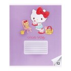 Тетрадь 12 листов в клетку Hello Kitty+Kuromi, обложка картон, в дополнительной ПВХ обложке, блок 60 г/м2, МИКС (комплект 20 шт) - фото 25284211