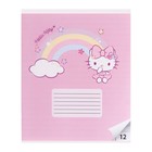 Тетрадь 12 листов в линейку Hello Kitty+Kuromi, обложка картон, в дополнительной ПВХ обложке, блок 60 г/м2, МИКС (комплект 20 шт) - фото 25284220