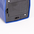 УЦЕНКА Лава-лампа «Дельфин» LED от батареек, аквариум 3хАА USB синий 7.5×7.5×23 см RISALUX - Фото 10