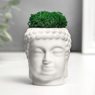 Кашпо бетонное "Будда" со мхом 7*6 см белый (мох зеленый стабилизированный) - фото 321785468
