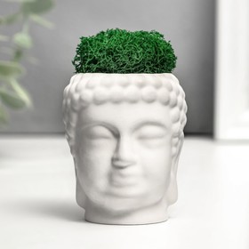 Кашпо бетонное "Будда" со мхом 7*6 см белый (мох зеленый стабилизированный)