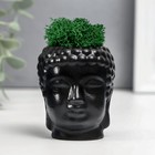 Кашпо бетонное "Будда" со мхом 7*6 см черный (мох зеленый стабилизированный) - фото 321785473