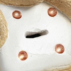 Копилка "Змея с кубиком" бежевая, 17х16х16см - фото 26209872