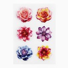 Наклейки для подарков и цветов «Цветы», винил, 9.3 х 16 см - Фото 2