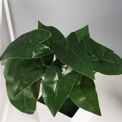 Искусственный цветок в горшке «Филодендрон комнатный», 8×25 см, зелёный