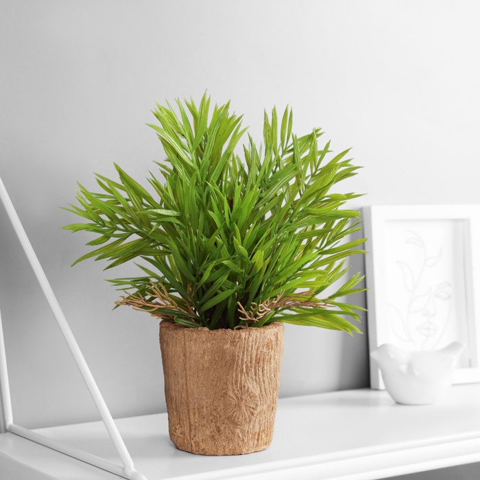 Искусственный цветок в горшке «Хамедорея экстра», 8×24 см, МИКС - Фото 1