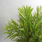 Искусственный цветок в горшке «Хамедорея экстра», 8×24 см, МИКС - Фото 2