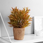 Искусственный цветок в горшке «Хамедорея экстра», 8×24 см, МИКС - Фото 3