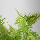 Искусственный цветок в горшке «Папоротниковидный уил», 8×22 см, МИКС - Фото 2