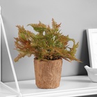 Искусственный цветок в горшке «Папоротниковидный уил», 8×22 см, МИКС - Фото 4