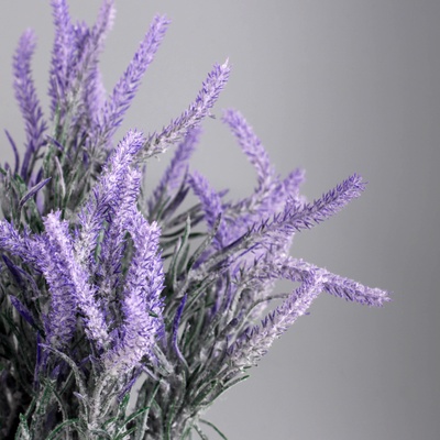 Искусственный цветок в горшке «Лаванда кульутрная экстра», 8×21 см, сиреневый
