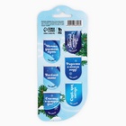 Магнитные закладки для книг, 6 шт. на подложке «С Новым Годом! Символ года» - Фото 3