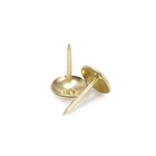 Лента декоративных гвоздей ТУНДРА, длина 1 м, 11?16 мм, золото, 10 шт. (комплект 10 шт) - фото 26388634