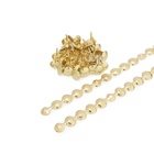 Лента декоративных гвоздей ТУНДРА, длина 1 м, 11?16 мм, золото, 10 шт. (комплект 10 шт) - фото 26388629