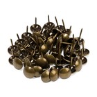 Лента декоративных гвоздей ТУНДРА, длина 1 м, 11?16 мм, бронза, 10 шт. (комплект 2 шт) - фото 24641060