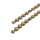 Лента декоративных гвоздей ТУНДРА, длина 1 м, 11?16 мм, бронза, 10 шт. (комплект 2 шт) - фото 26388660