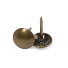 Лента декоративных гвоздей ТУНДРА, длина 1 м, 11?16 мм, бронза, 10 шт. (комплект 2 шт) - фото 24641061