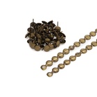 Лента декоративных гвоздей ТУНДРА, длина 1 м, 11?16 мм, бронза, 10 шт. (комплект 2 шт) - фото 26388651