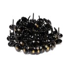 Лента декоративных гвоздей ТУНДРА, длина 1 м, 11?16 мм, античная бронза, 10 шт. (комплект 10 шт) - фото 24641070