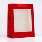 Пакет подарочный, фольгированный, упаковка, с окном, «Красный», S 23.5×18×8.5 см - Фото 2