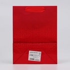 Пакет подарочный, фольгированный, упаковка, с окном, «Красный», S 23.5×18×8.5 см - Фото 3