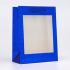 Пакет голография с окном, "Синий" S 23,5 х18 х 8,5 см - фото 321787326