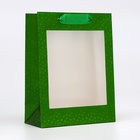 Пакет голография с окном, "Зеленый", S 23,5 х18 х 8,5 см - фото 321787328