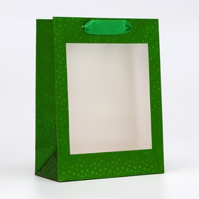 Пакет голография с окном, "Зеленый", S 23,5 х18 х 8,5 см
